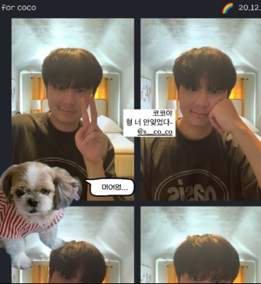 강아지 네컷 프레임 예시